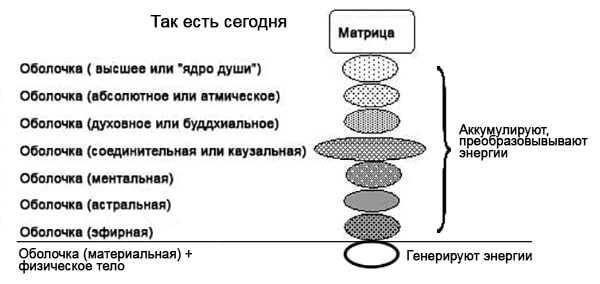 shela-min