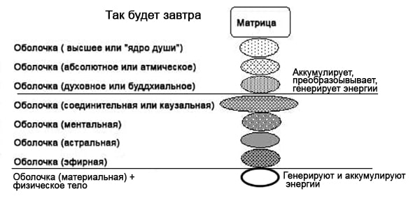 shell-scma-min